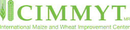 cimmyt-logo
